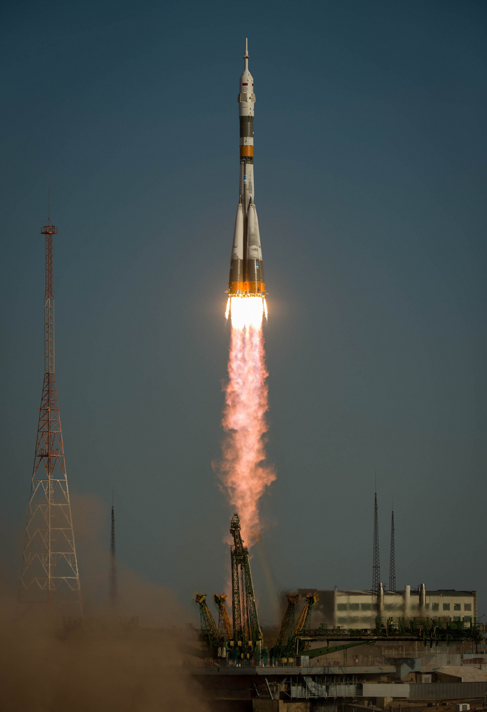 Sky rockets in flight ebony delight 4 4